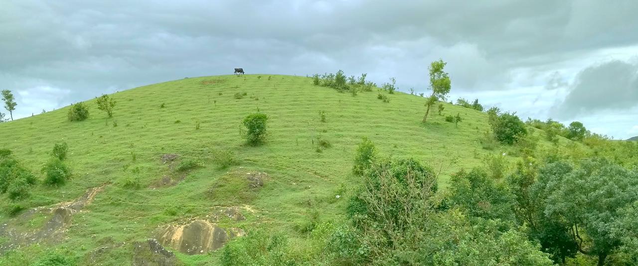 Vagamon Clouds Hotel Luaran gambar