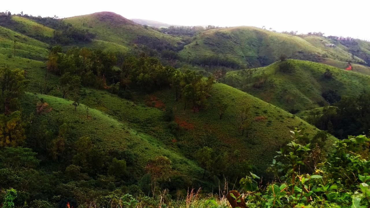 Vagamon Clouds Hotel Luaran gambar